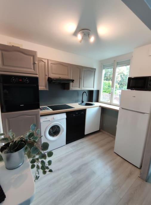 Duplex Cosy Apartman Gonesse Kültér fotó